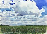 Wicken Fen