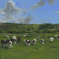 Cows 2