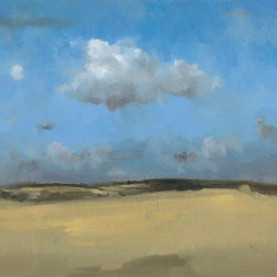 Downland, South Downs