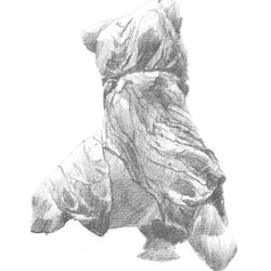 Iris; West Pediment of the Parthenon.