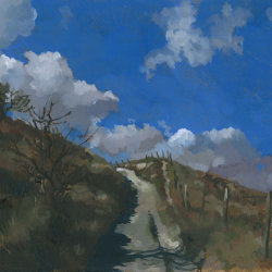 Path on The South Downs 2