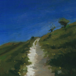 Path on the South Downs