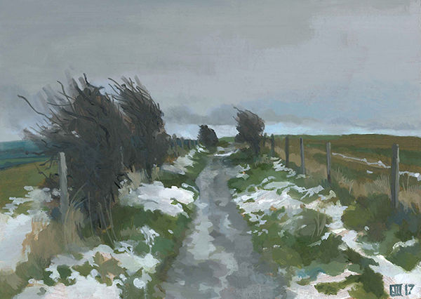 Snow on the Plumpton Ridge