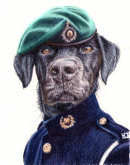 Anthropomorphic animals