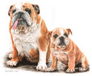 Ruby & Crackan