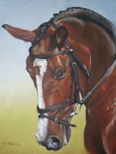 'Kanga'