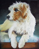 <strong>Rufus</strong>
