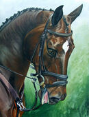 <strong>'Spirited'</strong>