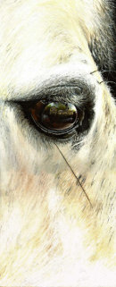 <strong>Tinkerbell</strong>