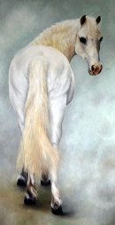 <strong>Tinkerbell</strong>