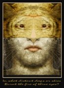 TYGER MASK