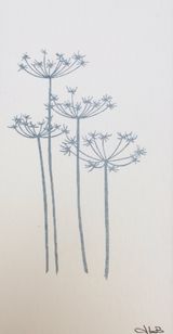 Cow Parsley