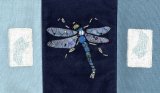 Dragon Fly
