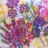 Floral Splash