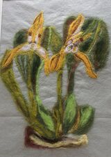 Green Swan Orchid