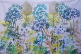 Hedgerow Flora