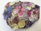 Dried flowers on a big pebble