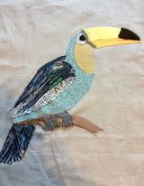 Toucan