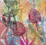 Pink Teasels