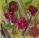 Summer Flowers