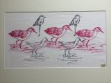 Waders