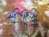 Wading birds