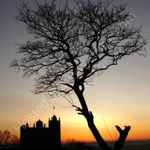 Bolsover Castle at Sunset