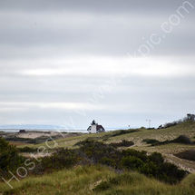 View of Cape Cod National Seashore