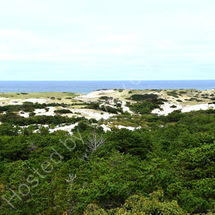 Province Lands Area, Cape Cod