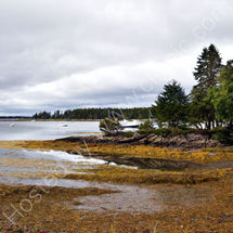 Sebasco Harbor