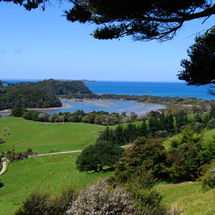 The Bay of Islands