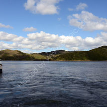 Lake wanaka