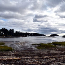 Sebasco Harbor
