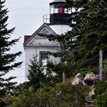 Bass Harbor Head Light