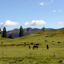 Haast Pass