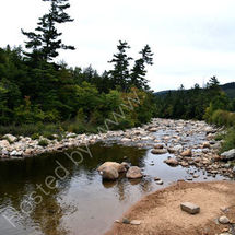 Swift River, White Mountain N.P. New Hampshire