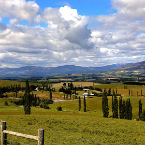 New Zealand at its Best