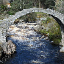 The Bridge at Carrbridge