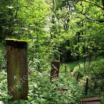 Pathway