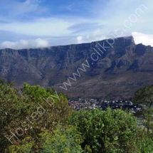 Table Mountain