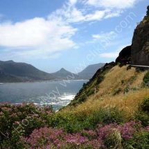 Looking Down the Cape