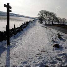 Road to Nowhere