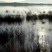 Still Waters