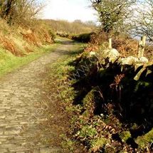 Cobbles