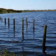 Rippling Water