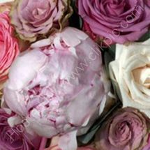 Wedding Flowers