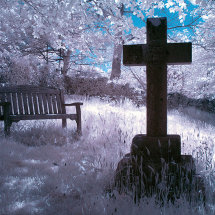 Sheepstor churchyard