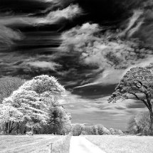 Maristow Infrared