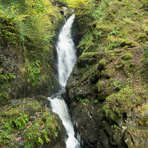 Aira Force