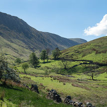 Towards Pasture Beck